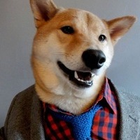 Дмитрий Корчемкин