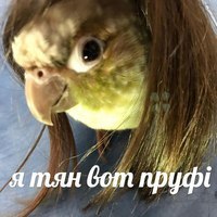 Владислав Чернявский