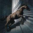 Coub - stairs