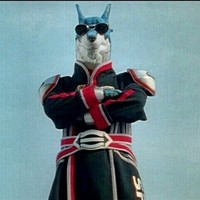 thecommondingus