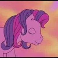 Skywishes Pony