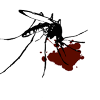 დათო ვახშენიჭირიმე