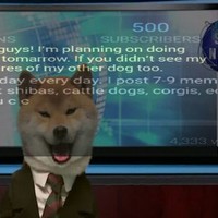 bork_page