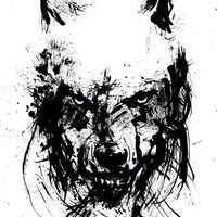 𝕸𝖆𝖗𝖊𝕱𝖎