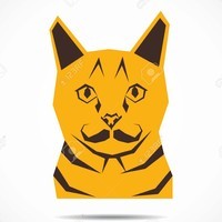 KreaTiVe CaT