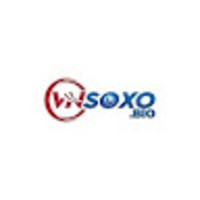 Sổ xố VN