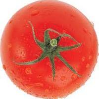 pomidor