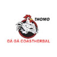 ĐÁ GÀ THOMO TRỰC TIẾP