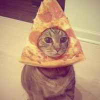 PizzaCat