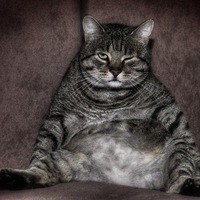 Нога Забрудела