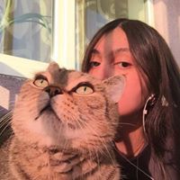 Zul Kitler