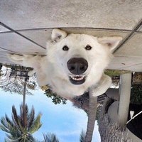 катушка