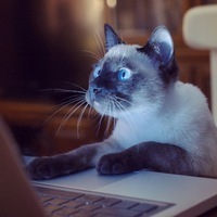 Митрофан Воронежский