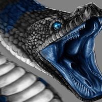 King Of Cobras
