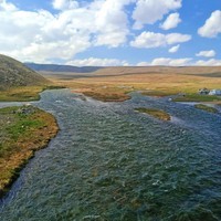 Into The Nature Vibes 🌴🌴🌴