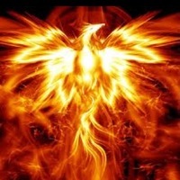Fire_Phoenix_
