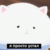 Женя Андреев