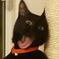 povtoritel