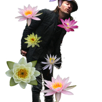 lotus flower