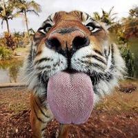 Дмитрий Якшин