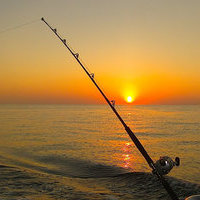 Beluga Fishing Tours