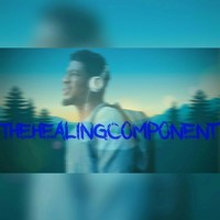 TheHealingComponent