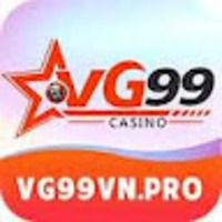 vg99vnpro