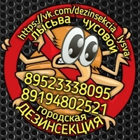 Дезинсекция Лысьва Чусовой