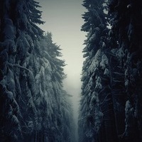 Levifith