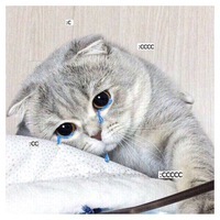 Арсен Белых