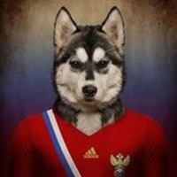 Sasha Frolov