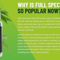 Green Lobster CBD Gummies Buy Now