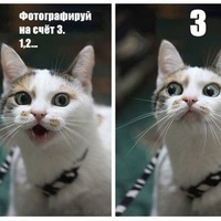 Евгений Стрекачев