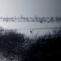 Егор Шепелёв