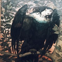Greynesis
