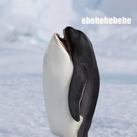 Владимир Климов