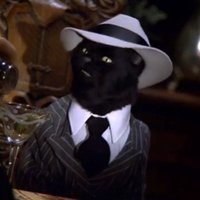 cat.Salem