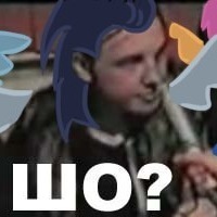 Soarin Wonderbolt