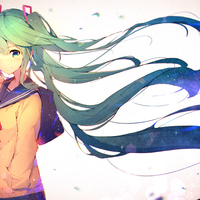 shim