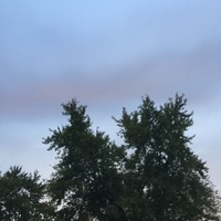 Moaningblues