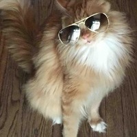 Александр Рузаев