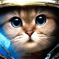 CATS rules!