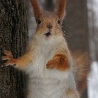 Андрей Сидоров
