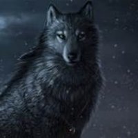 Shadow Wolf