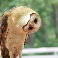 How do you turn this on?