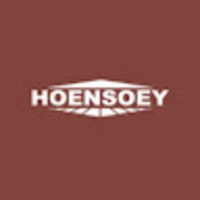 Hoensoey Technology 