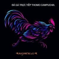 ĐÁ GÀ TRỰC TIẾP THOMO