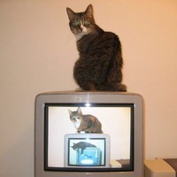 Илья Нагибин