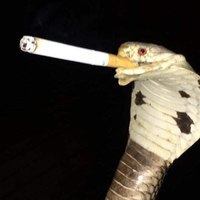 Евгений Дятлов