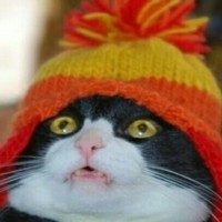 RepressedSplitPersonality